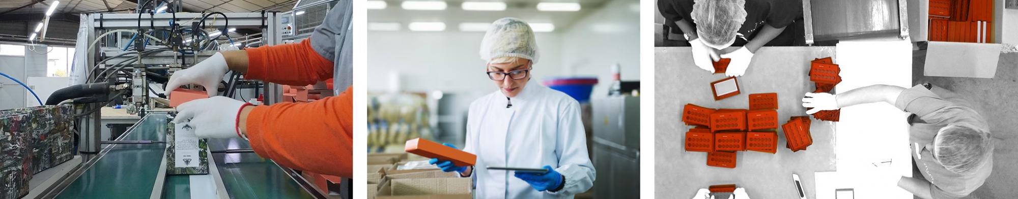 conducteur-regleur-decoupe-dorure-bobst